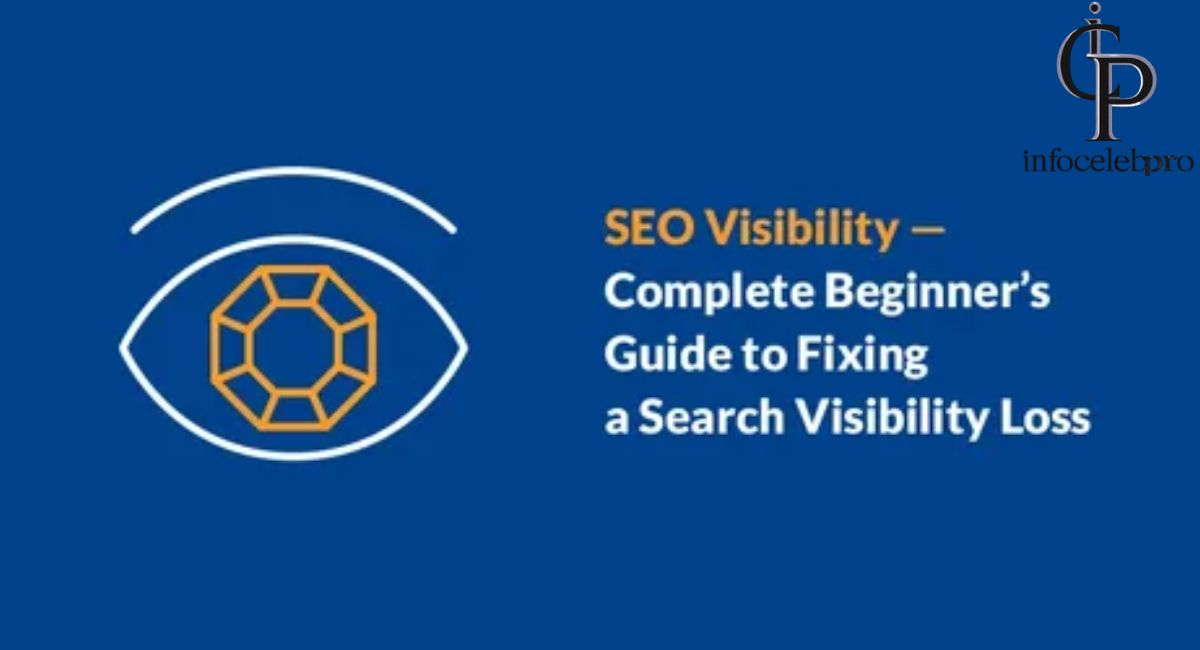PocketMemoriesNet & SEO Visibility